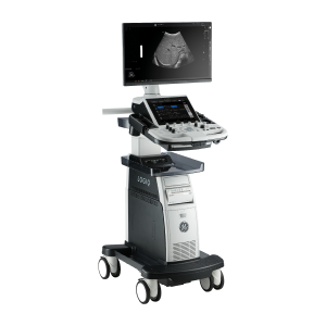 LOGIQ_P8<br>이중혈관 초음파